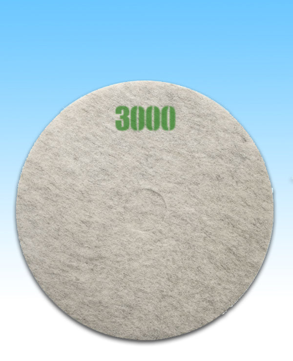 3000 GRIT Daily Maintenance 21" 2EA/CASE