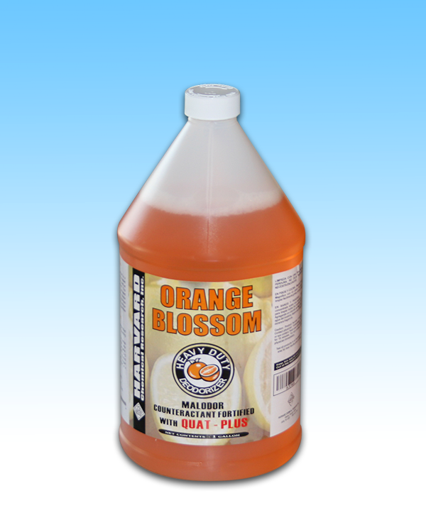 Orange Blossom GAL